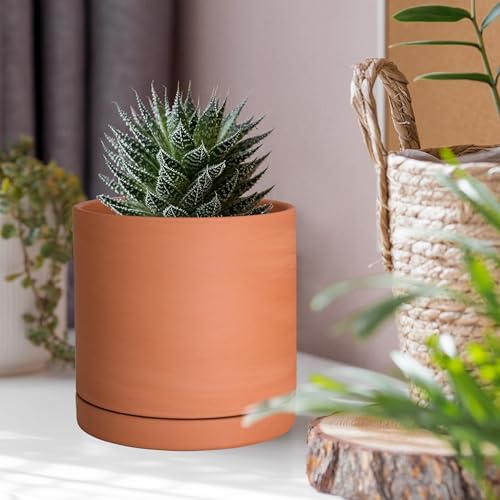 Terracotta Plant Pot with Saucer