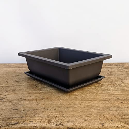 Training Pots with Humidity Trays (3 Count)