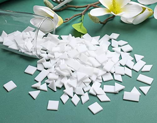Multi Color Glass Mosaic Tiles (200 Count)