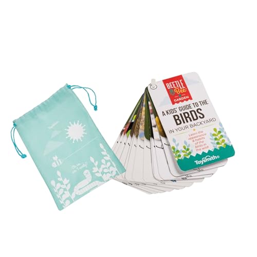 Beetle & Bee Bird Watching Kit For Kids 4x30 Binoculars Nature Toy Ages 5+