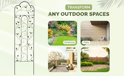 Decorative Metal Trellis for Climbing Plants Outdoor