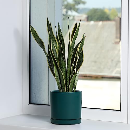 2 Pack Ceramic Pots with Saucers (2 Count)