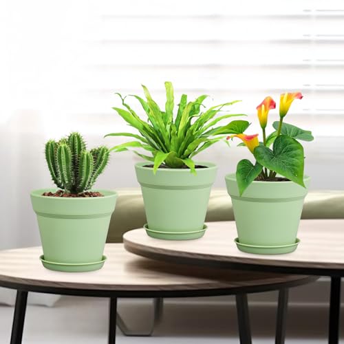 6 inch Plastic Nursery Pots (16 Count)