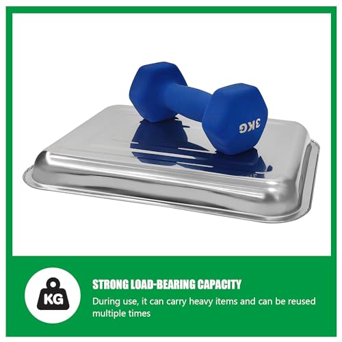 10 Pack Stainless Metal Trays (10 Count)