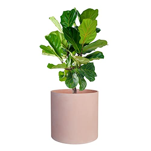 14 Inch Fiberstone Planter (Terracotta / 14 inch)