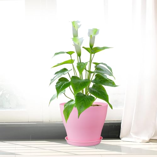 6 inch Plastic Nursery Pots (16 Count)
