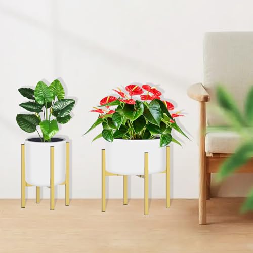 Heavy Plant Stand for 10" (1 - Heavy Duty / Heavy Gold 10-16")