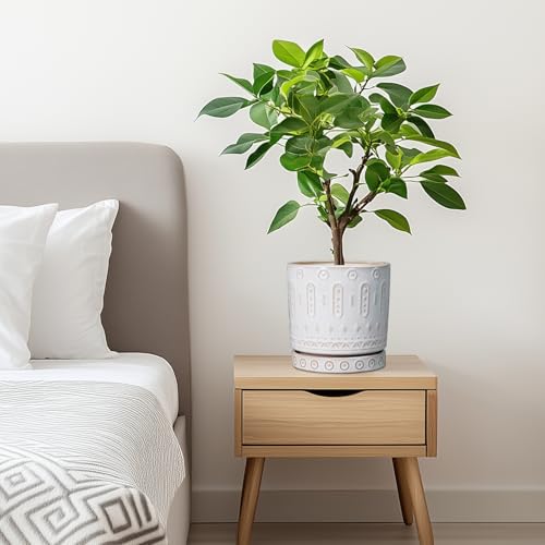 Pot for Plants 6 Inch