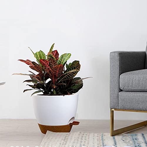 Large Self Watering Pots (3 Count)