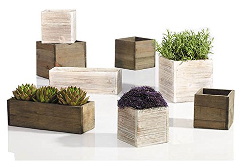 Wood Planter Box (2 Count)