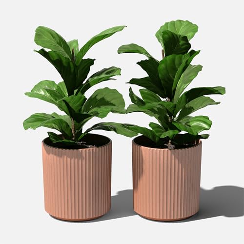 Demi Series Planter (2 Count)