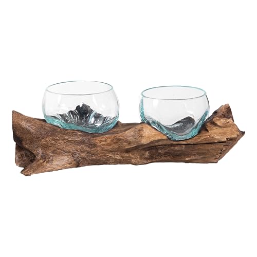 Set of 2 Terrariums