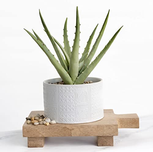 Artificial Plant in White Ceramic Pot