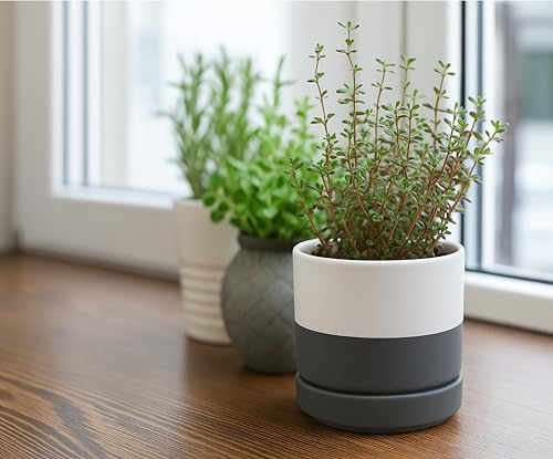 2 Pack Ceramic Pots & Saucers (2 Count)
