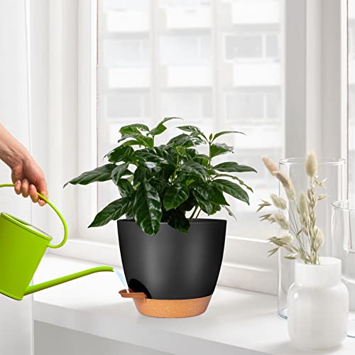 Plant Pots Set of 2 Pack 8 inch