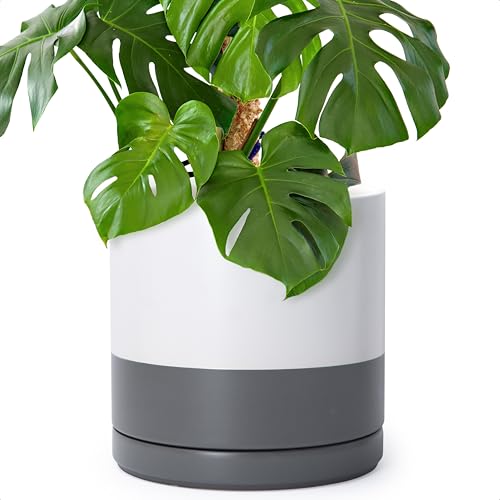 12 Inch Ceramic Planter Pot