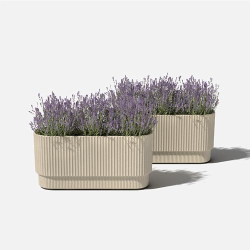 Demi Series Long Planter (2 Count)