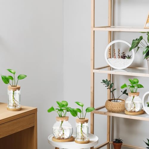 4 Pcs Plants Propagation Stations vases Glass Planters with Wooden Lid and Bamboo Stand for Hydroponic Plants Gardening Gifts for Women Mom Home Office Tabletop Decoration (4 Count)