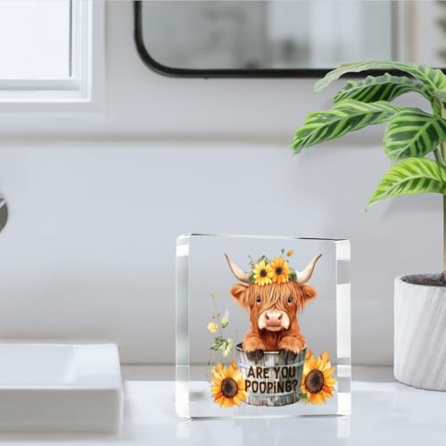 Highland Cow Bathroom Decor Gifts (Pooping)
