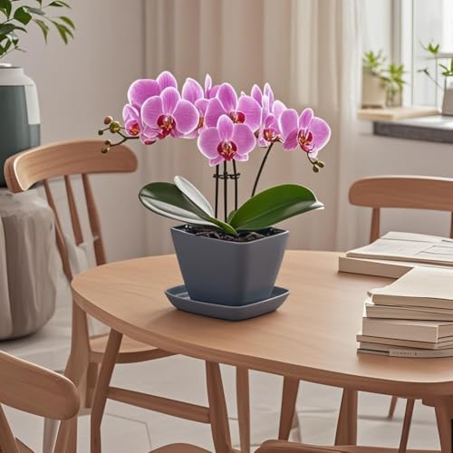 Square Ceramic Plant Saucer Tray 2 Pcs 6 7 8 Inch Grey