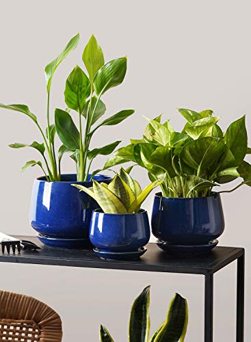 Plant Pots 4.1+5.1+6.5 inch (3 Count)