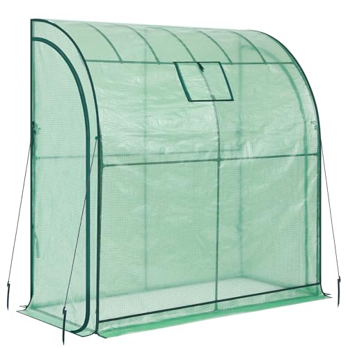 Lean to Greenhouse with 3