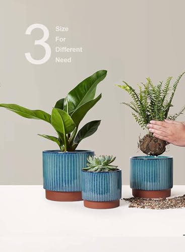 Ceramic Plant Pots with Drainage Holes (3 Count)