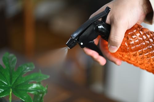 Glass Handheld Spray Bottle
