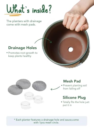 Ceramic Pots for Plants (3 Count)
