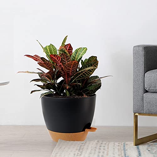 Large Self Watering Pots (3 Count)