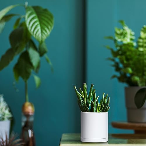 12 Pack White Plastic Planters with Saucers
