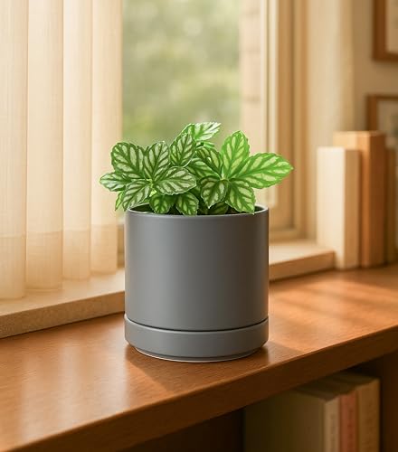 2 Pack Ceramic Pots & Saucers (2 Count)
