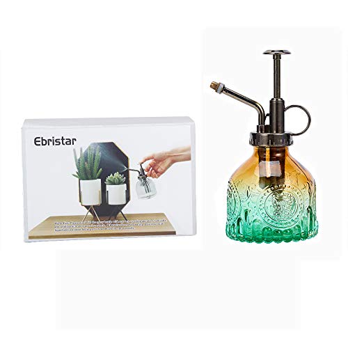 Glass Plant Mister Spray Bottle