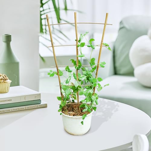 3PCS Fan Shaped Bamboo Trellis (3 Count)