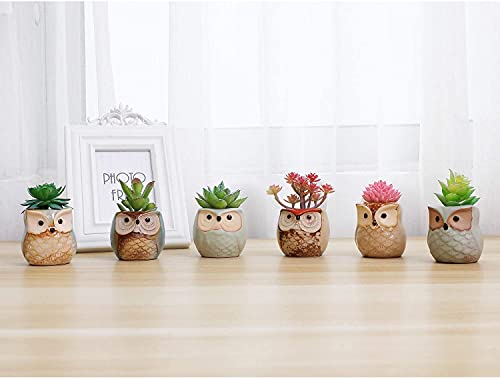 Owl Succulent Pots (6 Count)