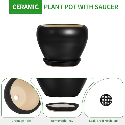 8 Inch Plant Pot