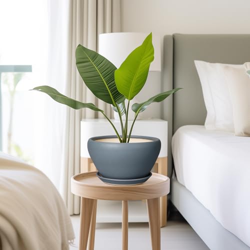 Ceramic Pots for Plants