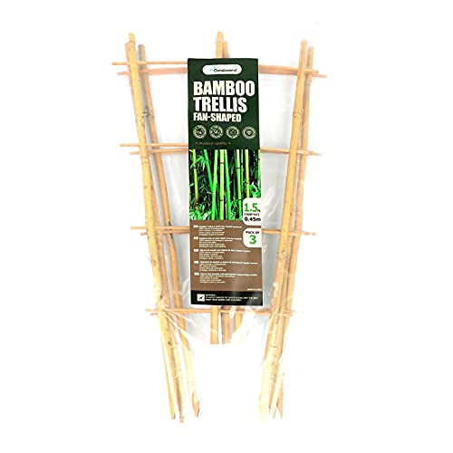 Bamboo Trellis