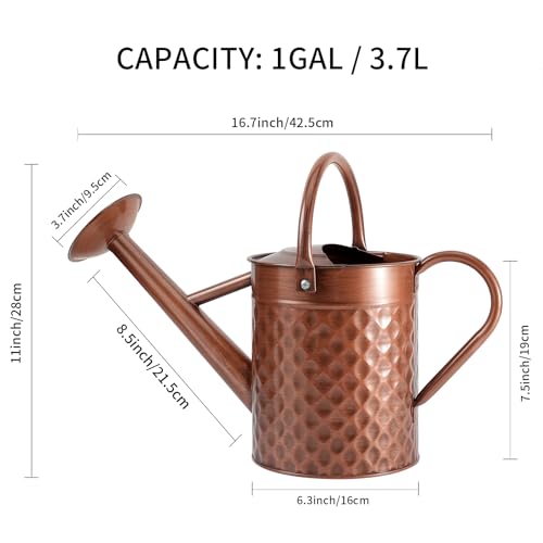 1 Gallon Metal Watering Can for Outdoor Indoor Plants (128 Fl Oz)