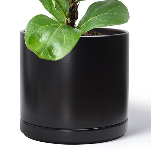 14 Inch Ceramic Planter Pot