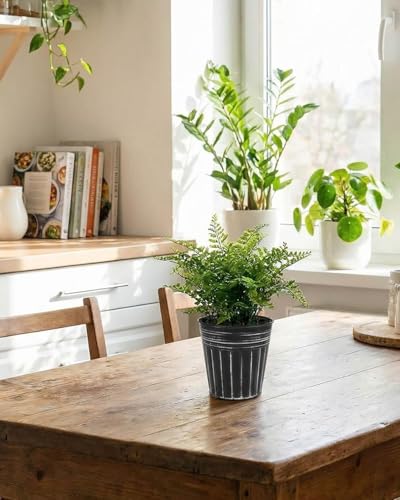 5 Inch Galvanized Bucket Planters (Black / 5 inch)