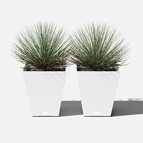 Pure Series Nobleton Planter (2 Count)