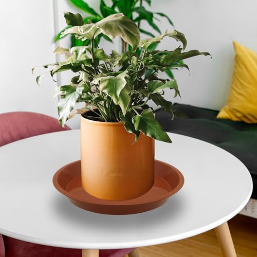 6 Pack 8 Inch Round Plant Saucers for Less 6.8 Inch Pot Indoors Outdoors Plant Trays for Pots Planter Saucer Plastic Plant Drip Tray Planter Water Tray for Potted Plants (8"(6pcs) / Terracotta)