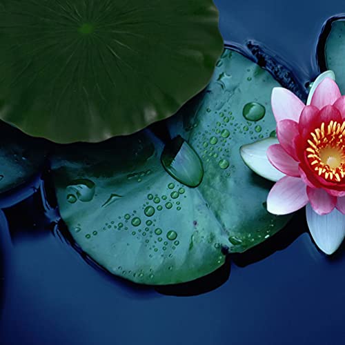Artificial Lotus Leaf 11 Inch Floating Foam Lily Pads for Pond Fish Aquarium Decor 3 Pack Realistic Green Water Lily Leaf Ornaments for Patio Garden Pool Landscape (3 Count)