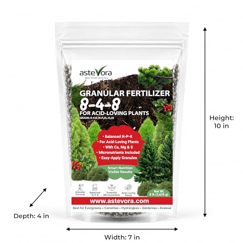 ASTEVORA Evergreen Fertilizer (128 Fl Oz)