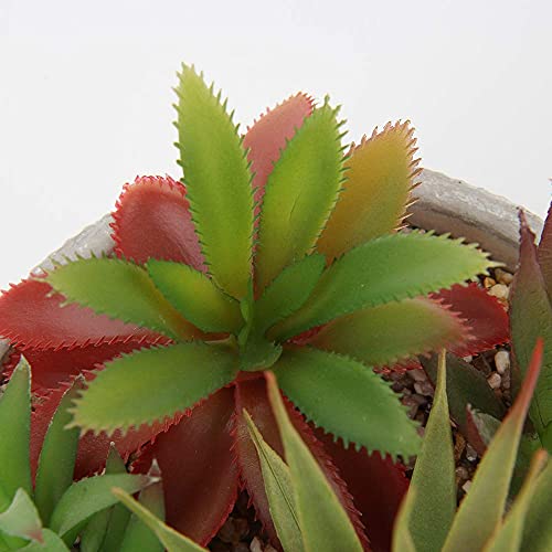 Small Fake Plants Assorted Faux Succulents in Pots Realistic Succulents Plants Artificial with Cement Pots for Home Table Office Desk Bathroom Shelf Living Room Decor (Succulent #02)