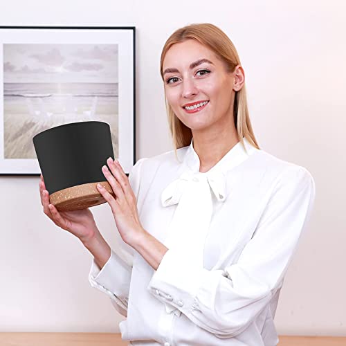 Plant Pots for Indoor Plants (6 Count)