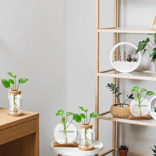 4 Pcs Plants Propagation Stations vases Glass Planters with Wooden Lid and Bamboo Stand for Hydroponic Plants Gardening Gifts for Women Mom Home Office Tabletop Decoration