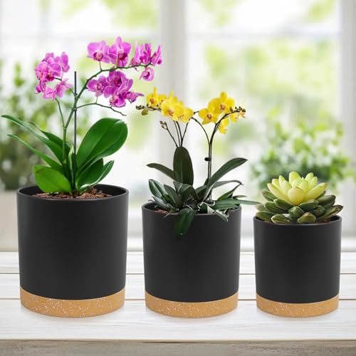 5 Pack Cylindrical Flower Pots with 7 (5 Count)