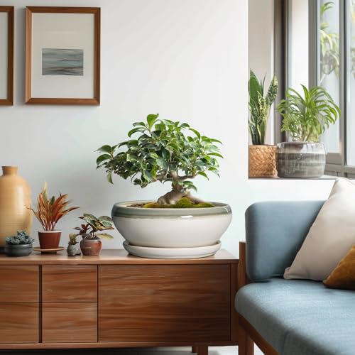 Bonsai Pots Ceramic (10 Inch / Grey-white)